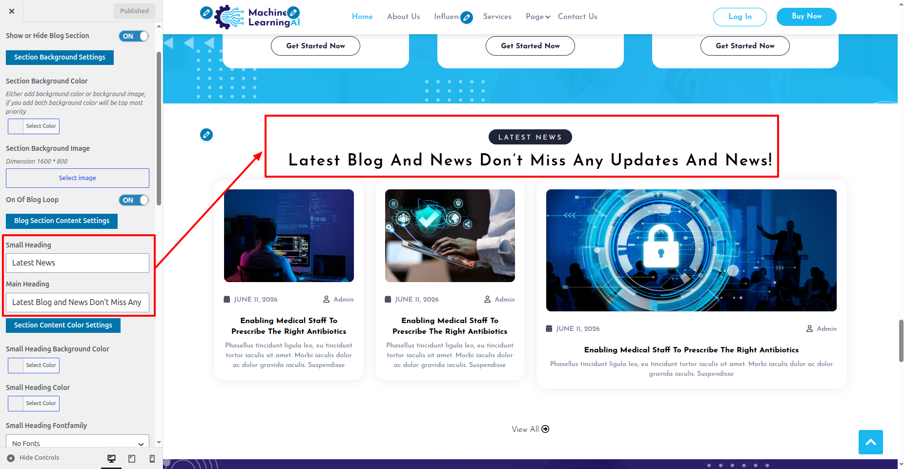 Blog Customizer Settings