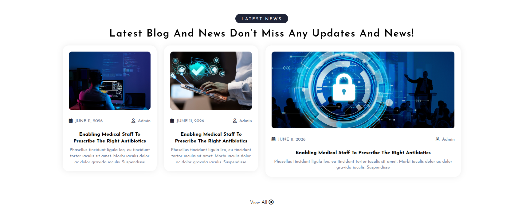 Newsletter Plans Customizer Settings