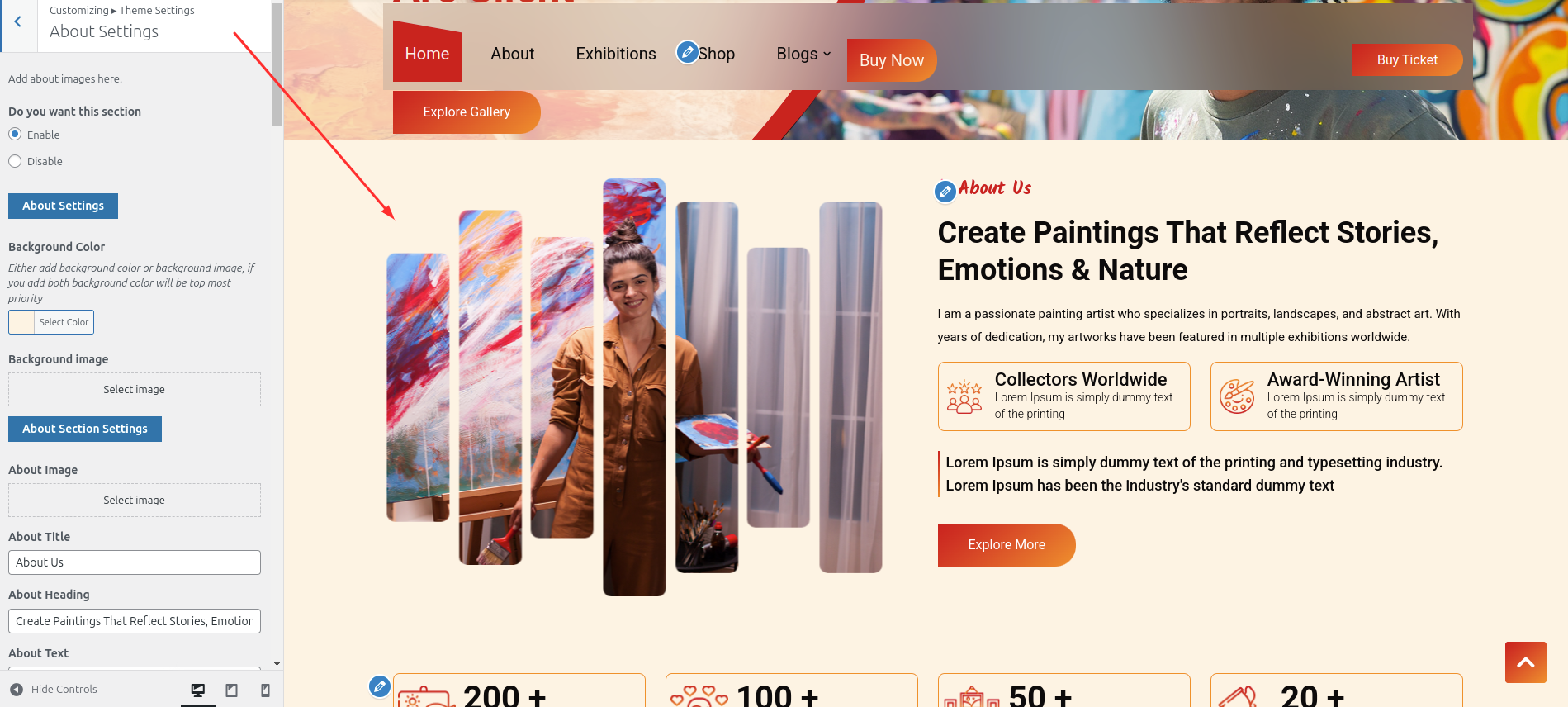 About Customizer Settings