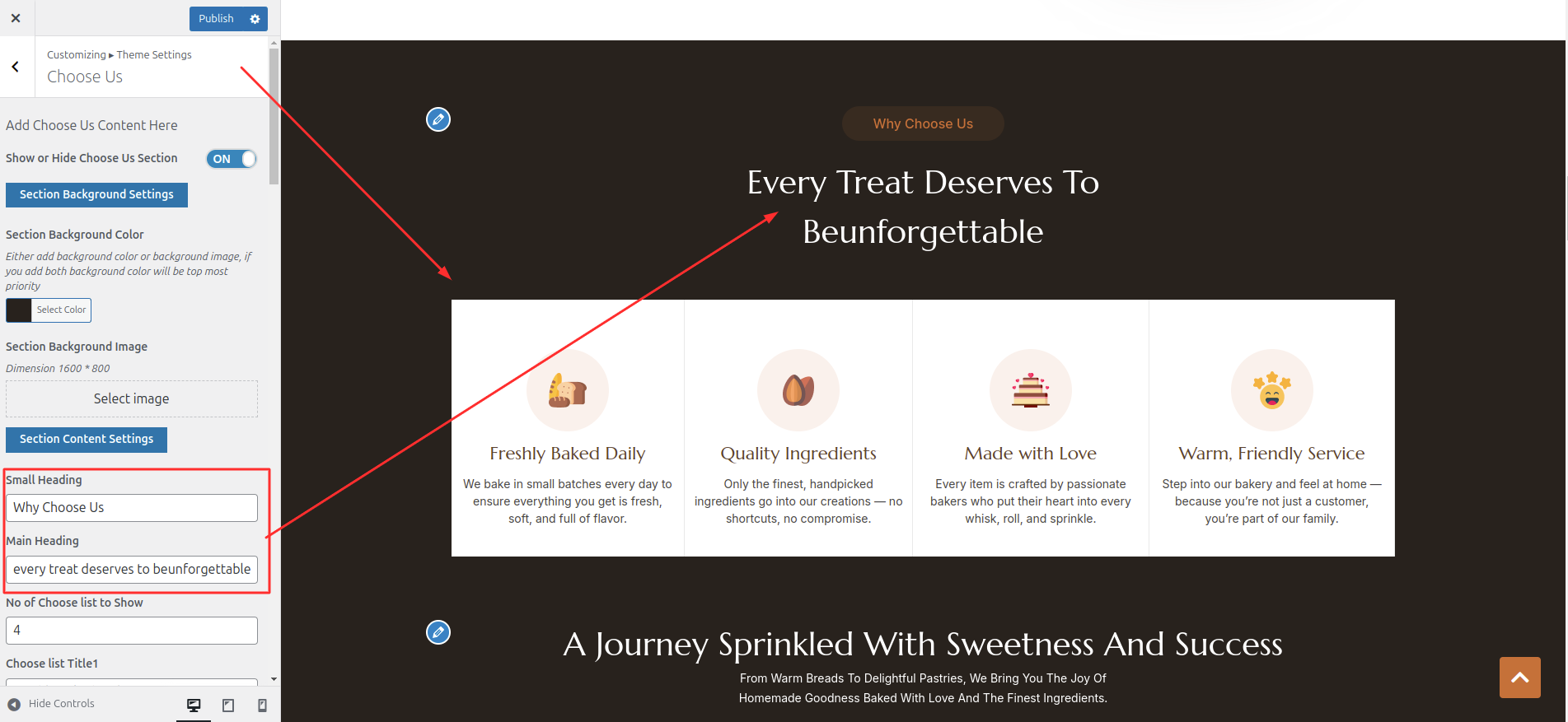 Choose Us Customizer Settings