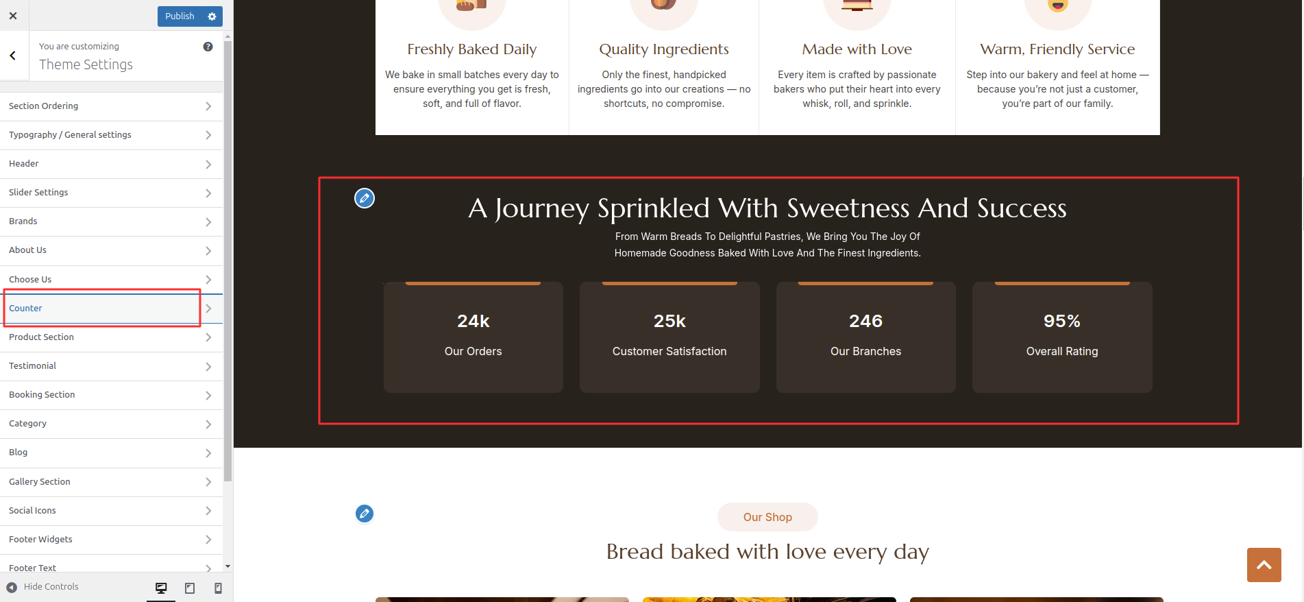 Counter Customizer Settings