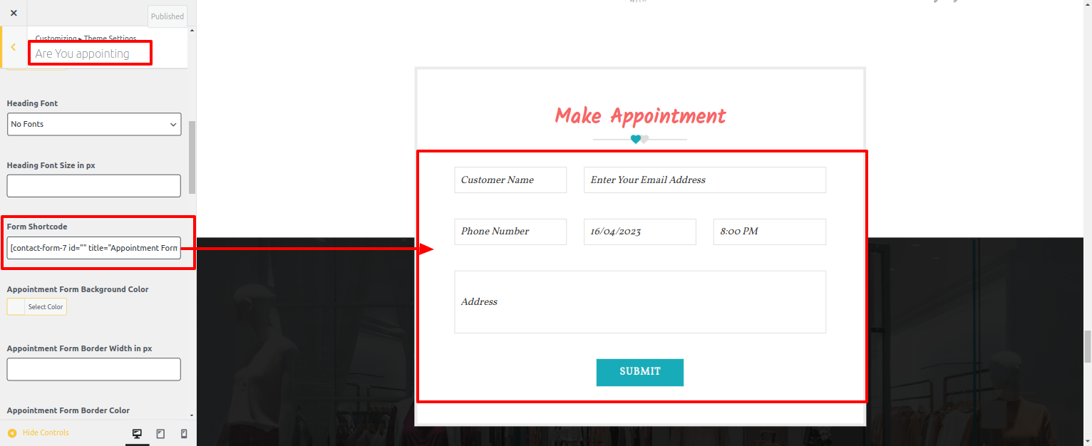 Are You Appointing Customizer Settings