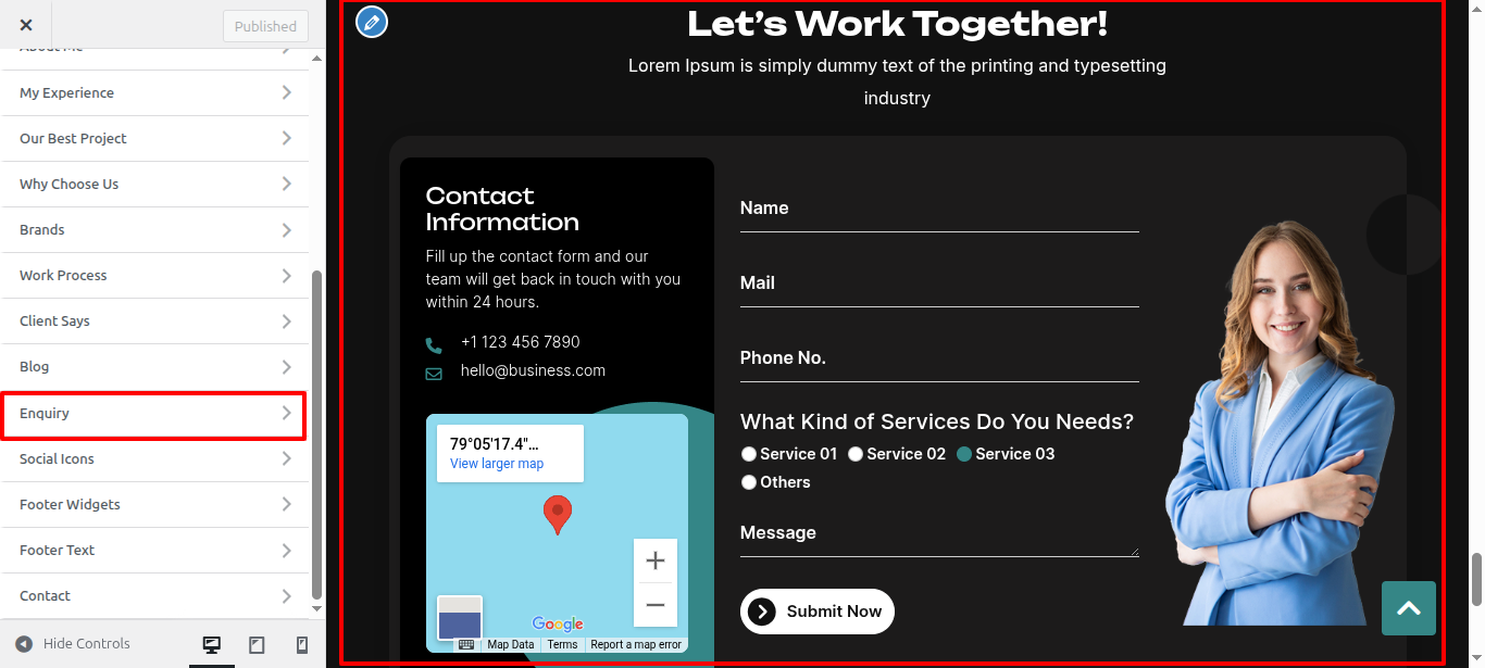 Newsletter Customizer Settings