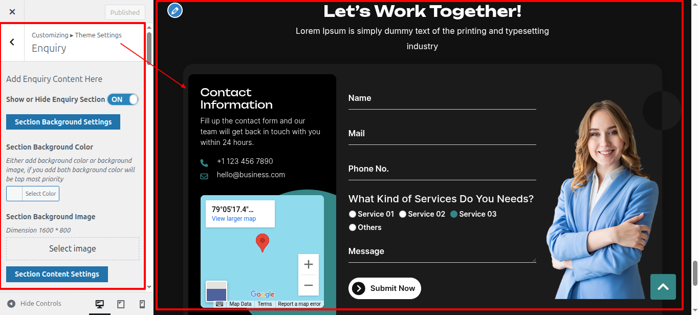 Newsletter Customizer Settings