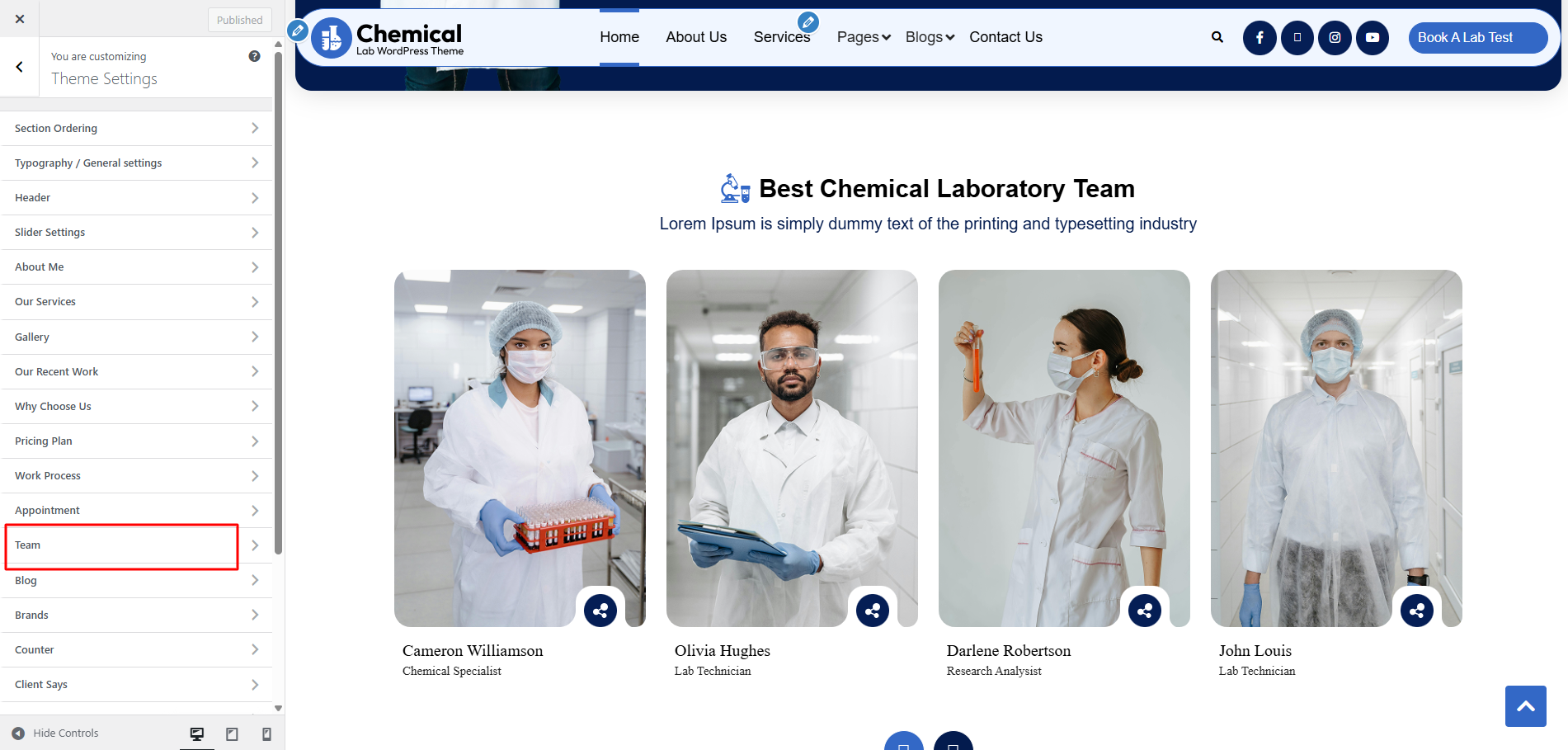 Team Customizer Settings