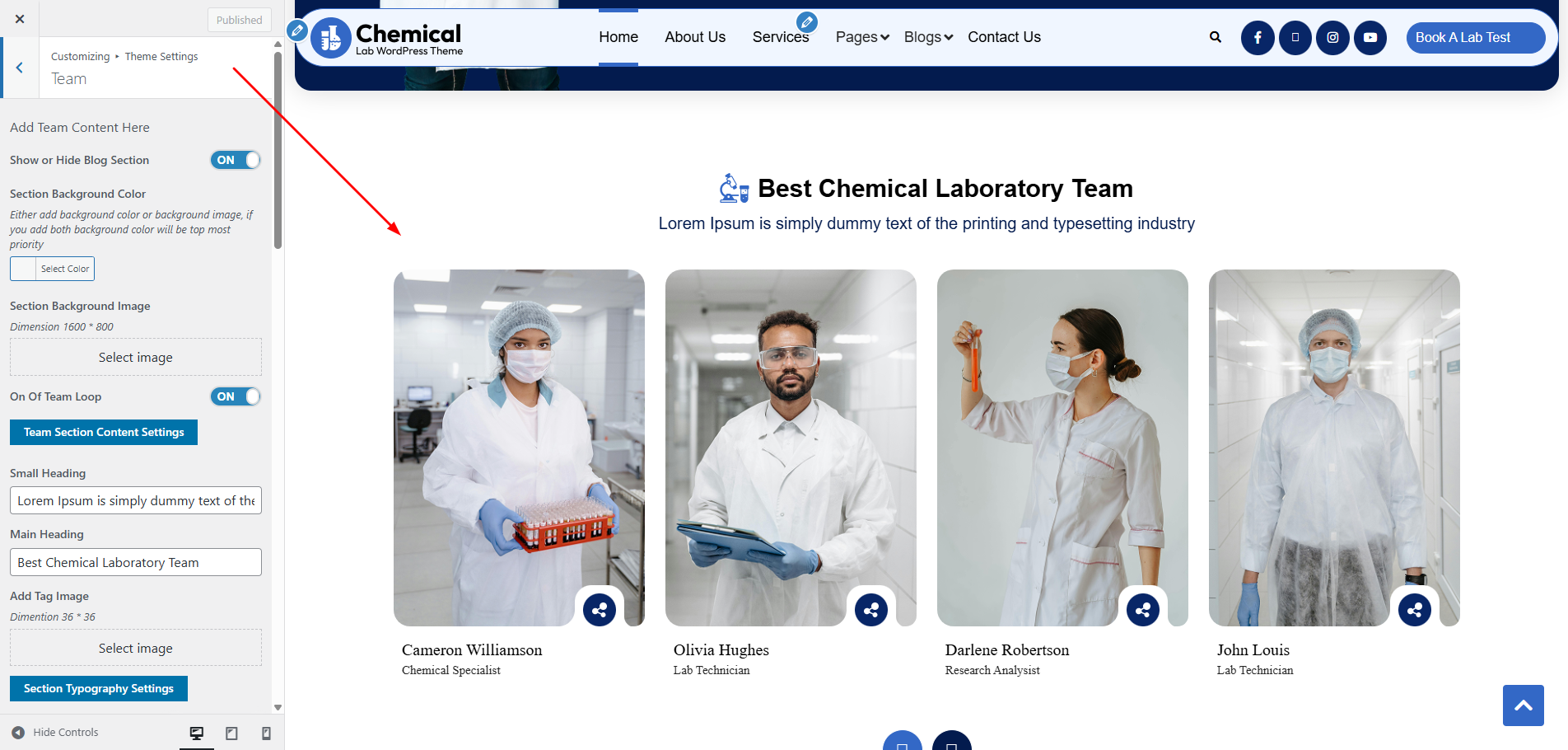 Team Customizer Settings