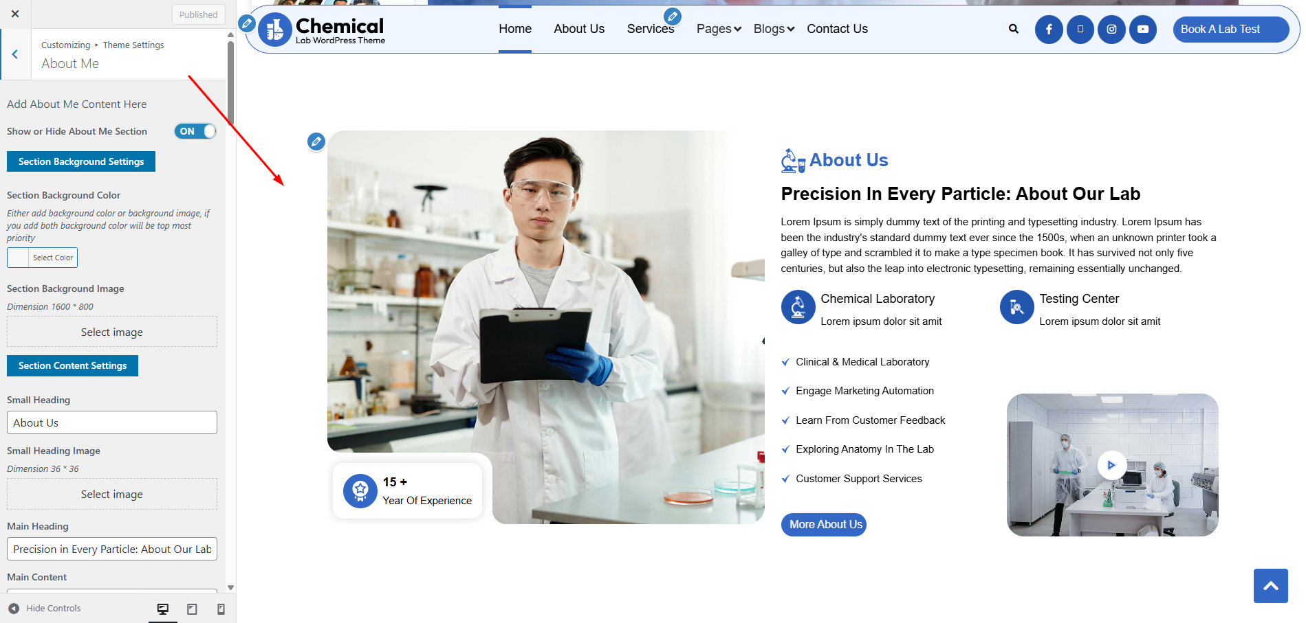 Services Customizer Settings