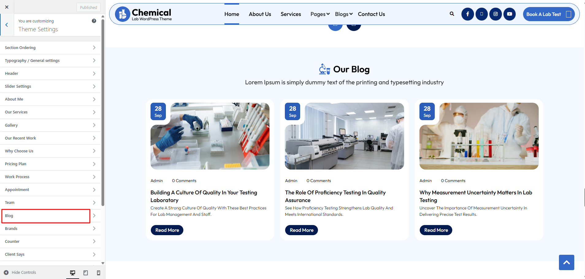 Blog Customizer Settings