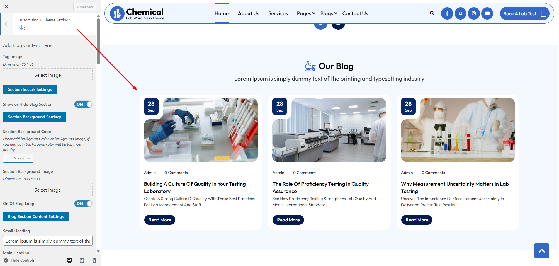 Blog Customizer Settings