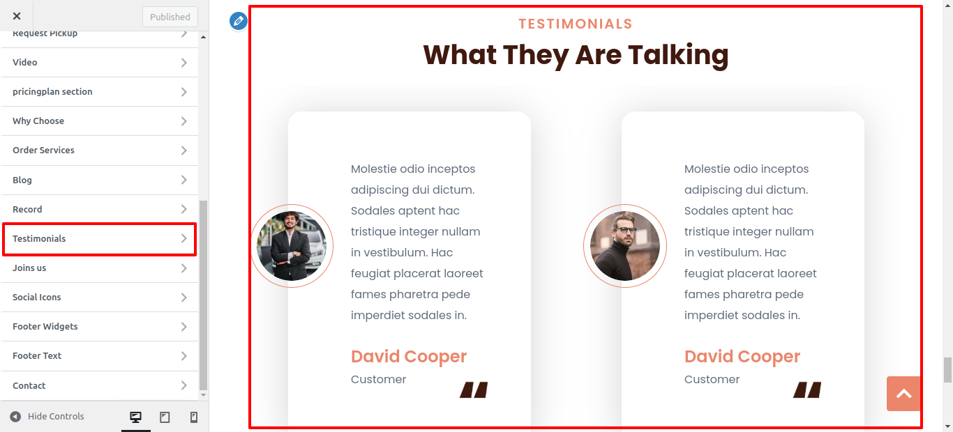 Testimonial Customizer Settings
