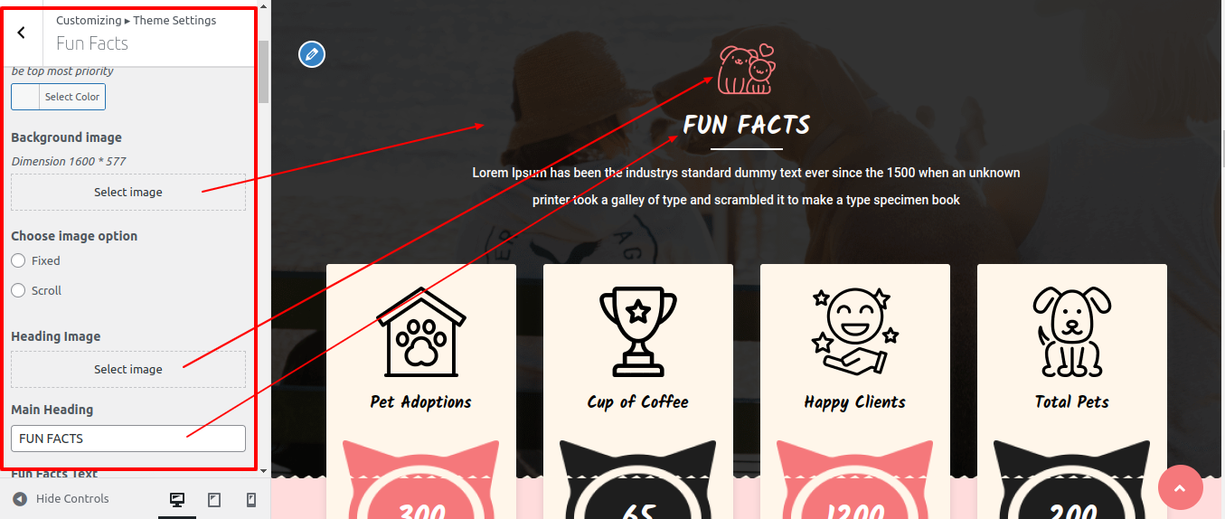 Fun Facts Section 