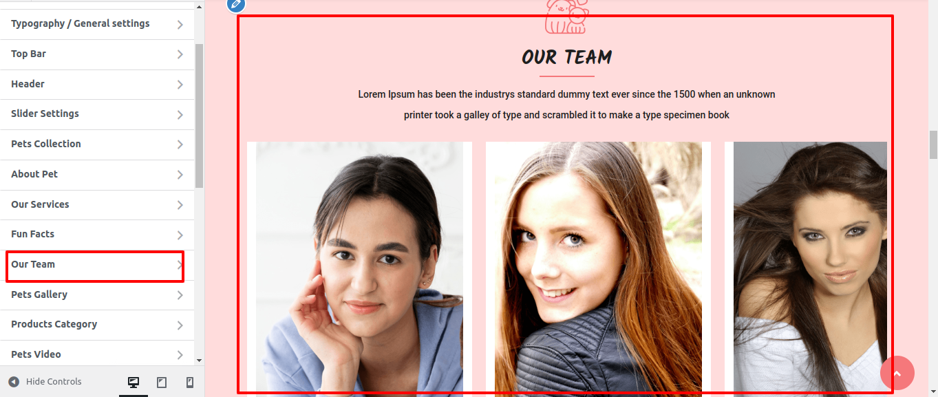Our Team Customizer Settings