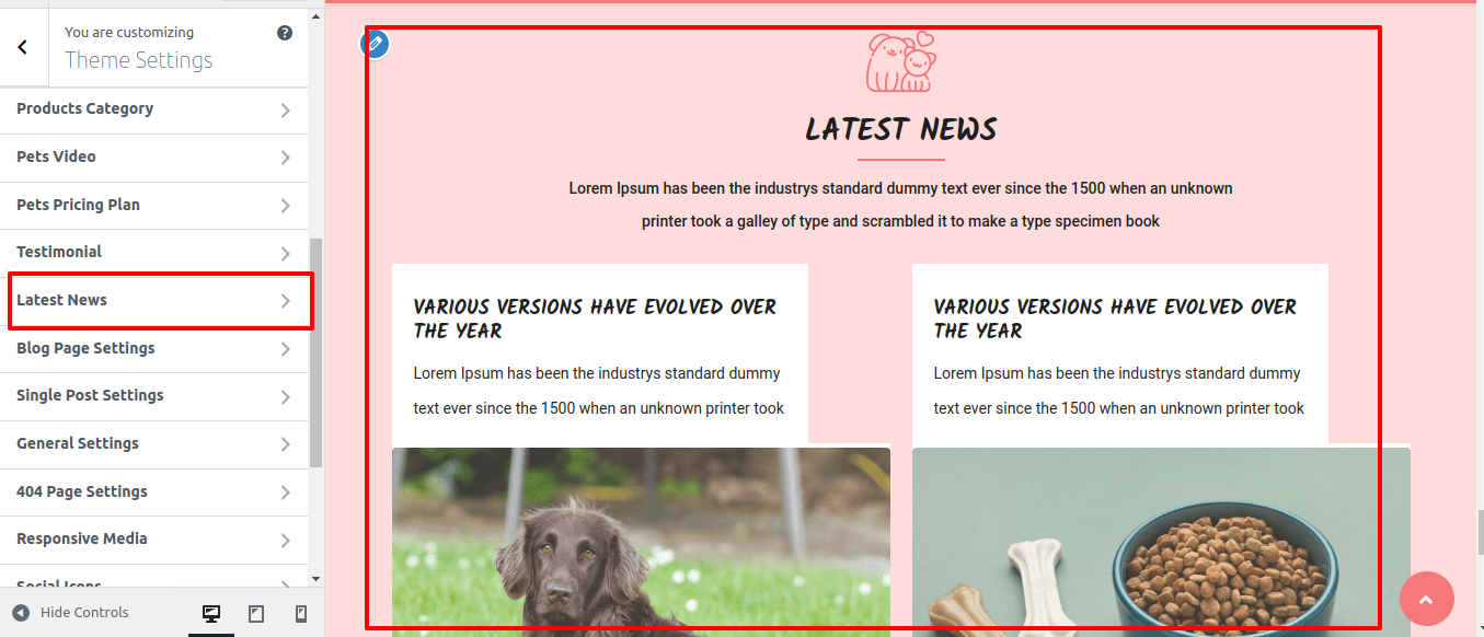 Latest News Customizer Settings
