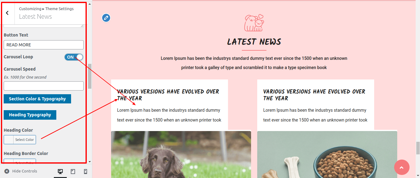 Latest News Customizer Settings