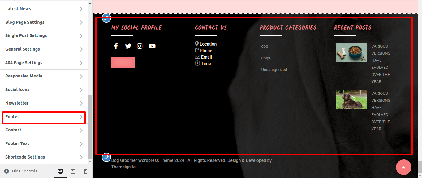 Footer Section