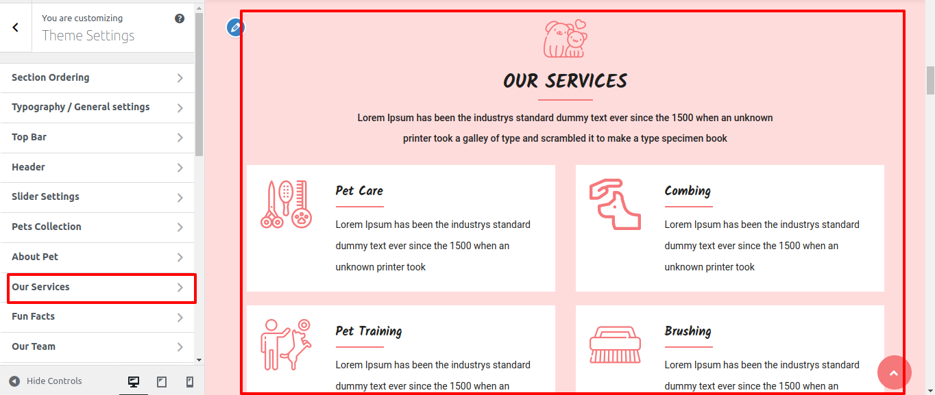 Our Services Section