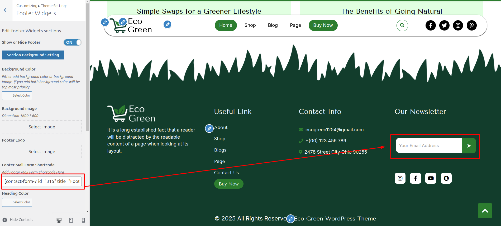 Newsletter Customizer Settings