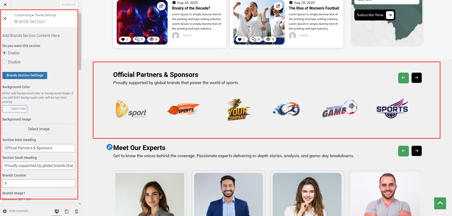 Brands Section Customizer Settings