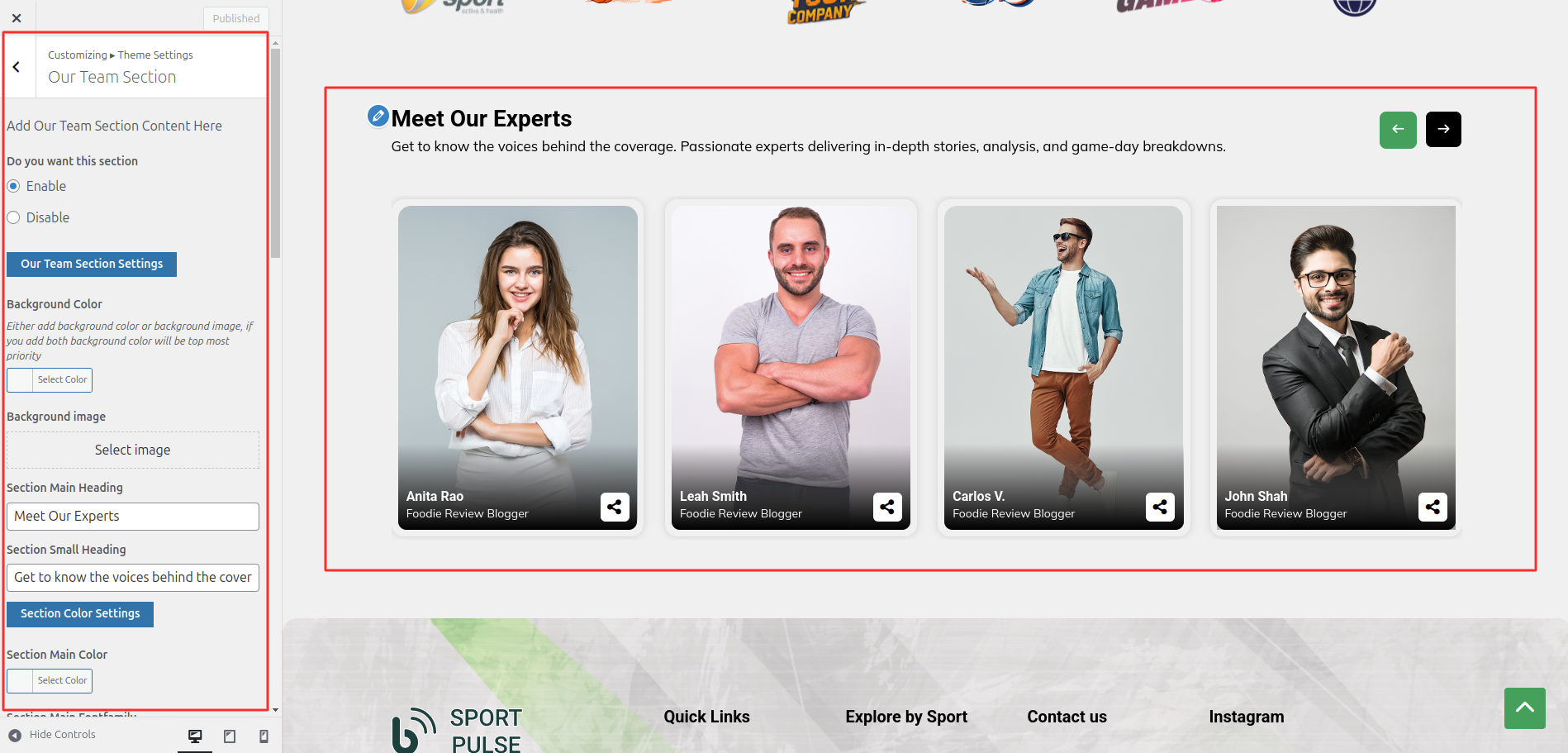Team Customizer Settings