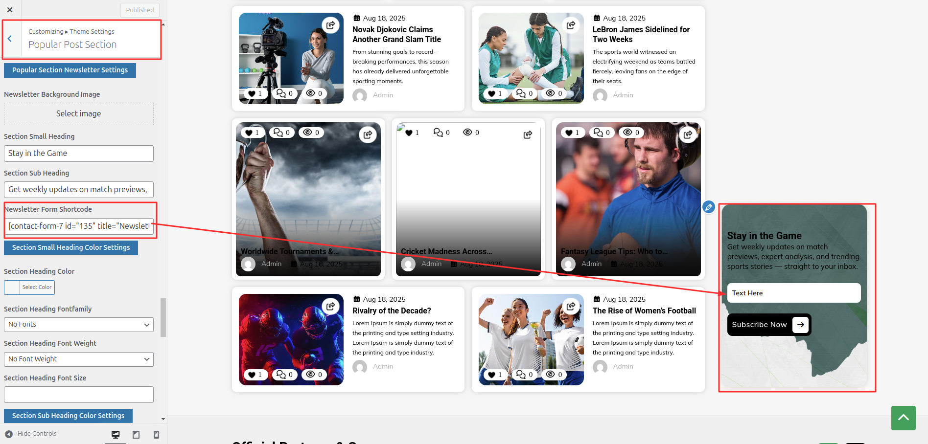 Newsletter Customizer Settings