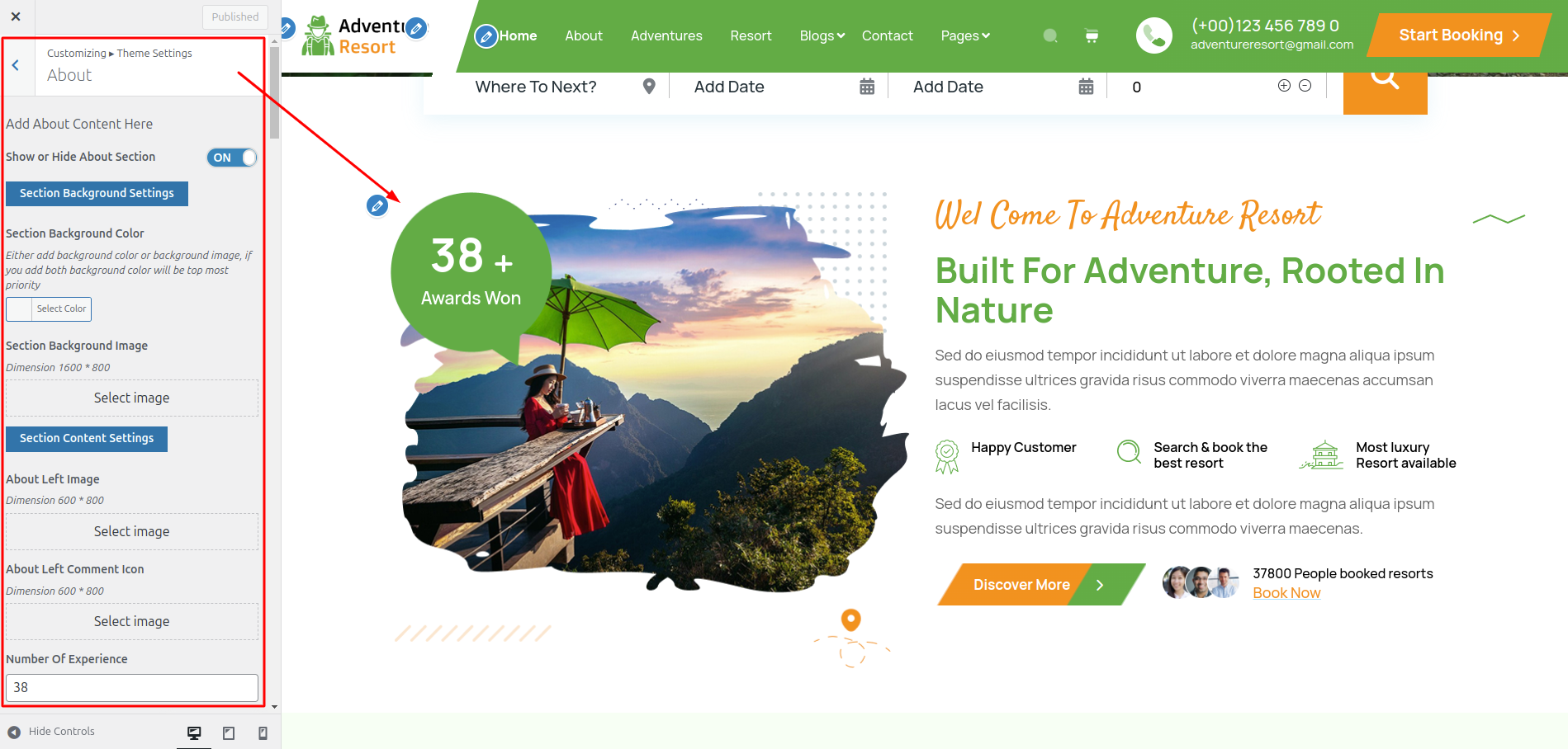 Services Customizer Settings