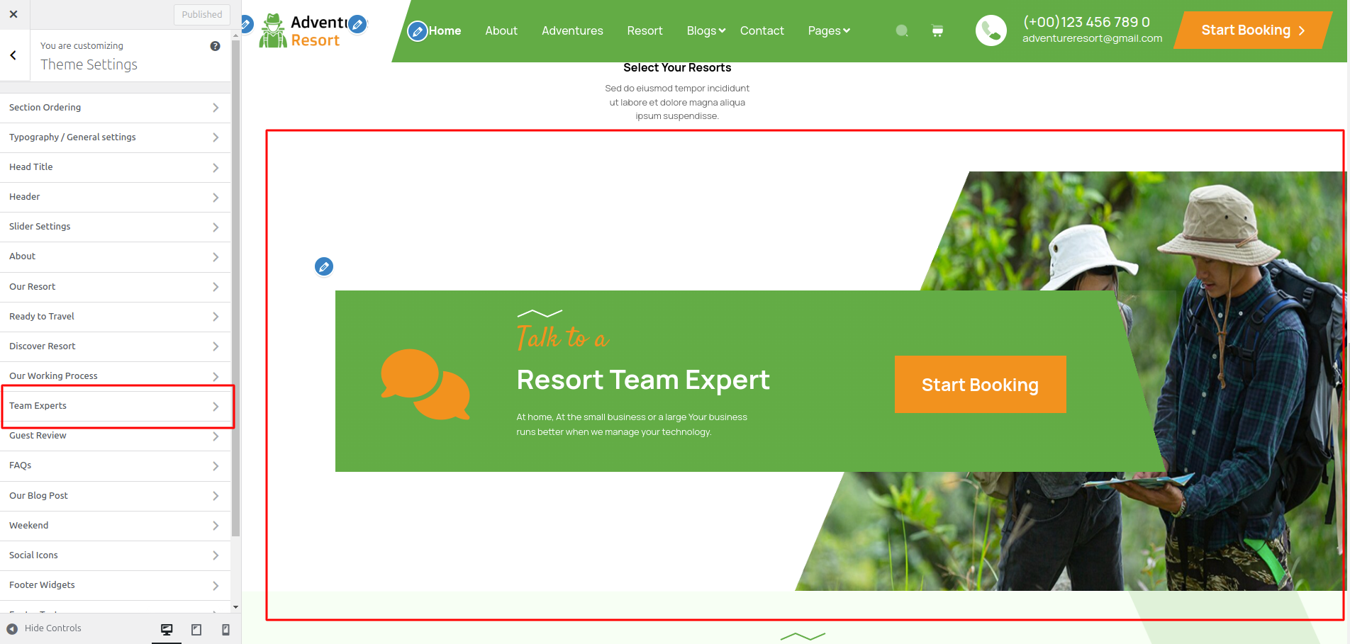 Consulation Customizer Settings