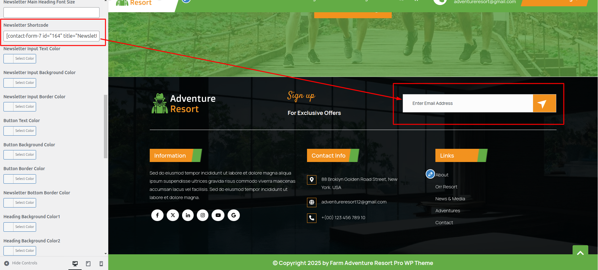 Newsletter Customizer Settings