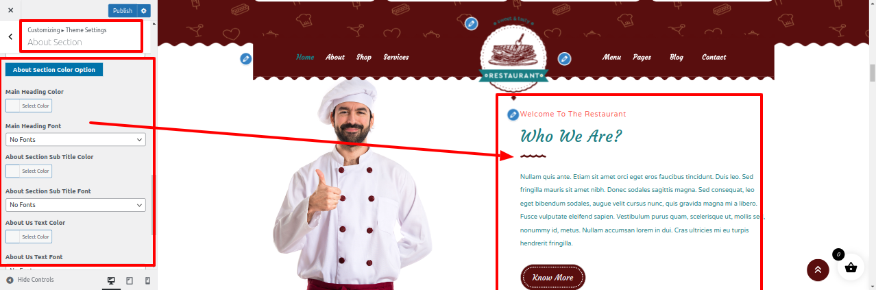 About Section Customizer Settings