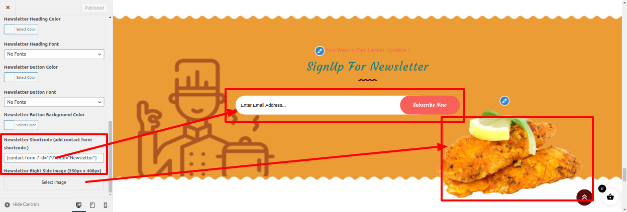 Newsletter Customizer Settings