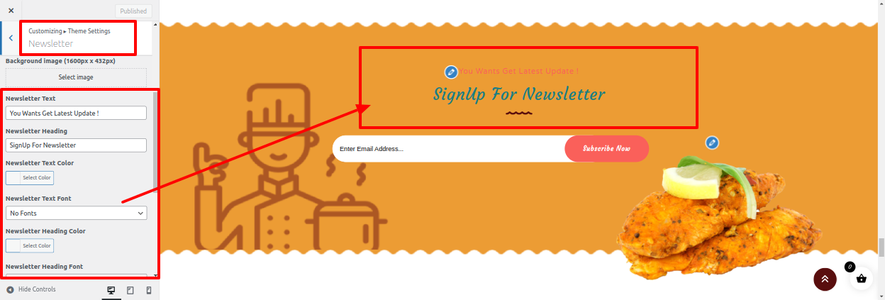 Newsletter Customizer Settings