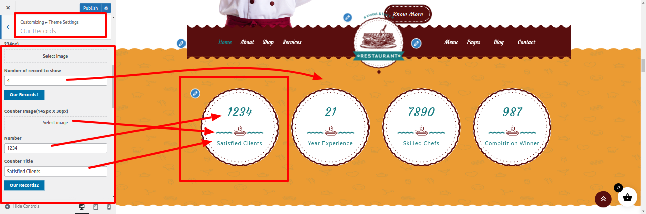 Our Records Section Customizer Settings
