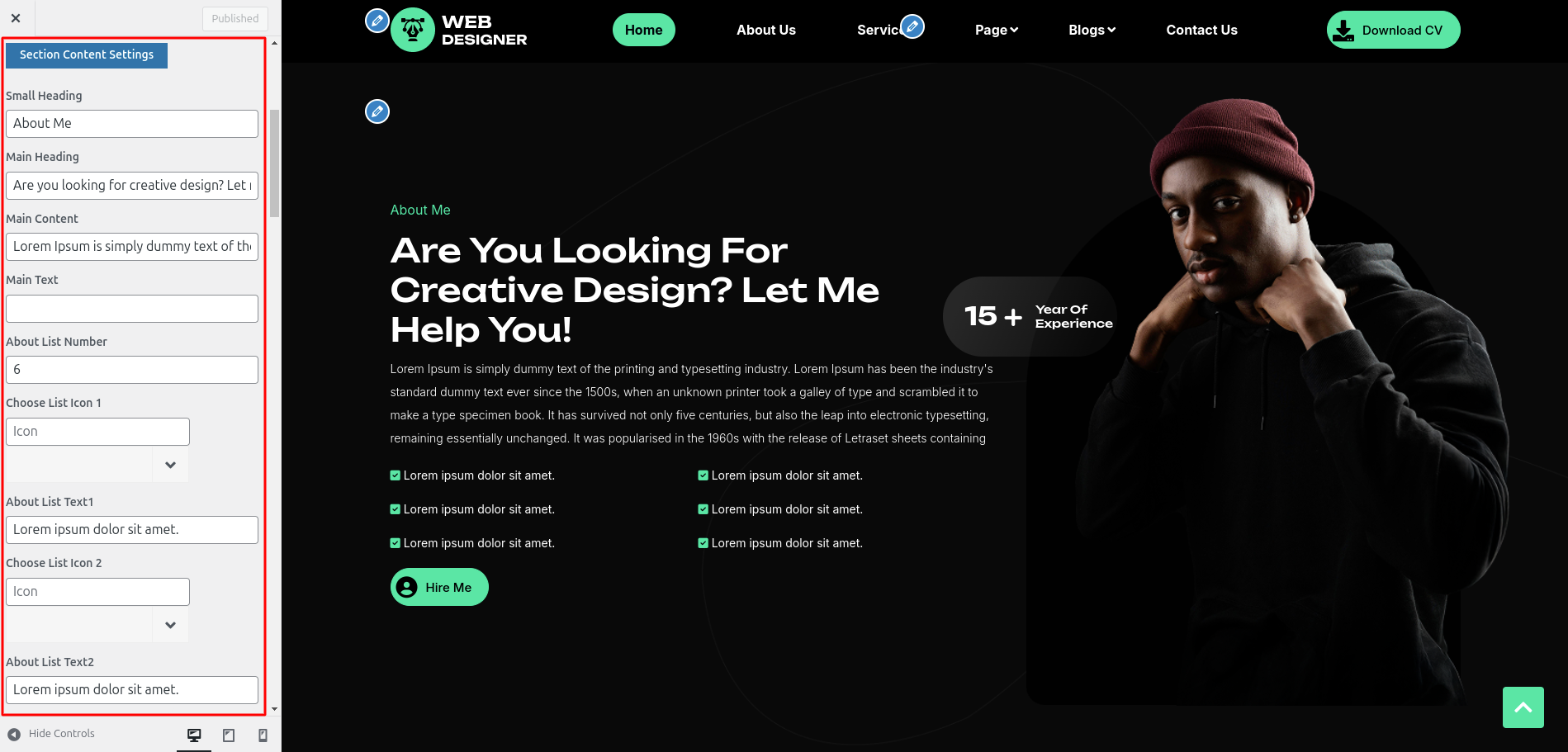 About Customizer Settings