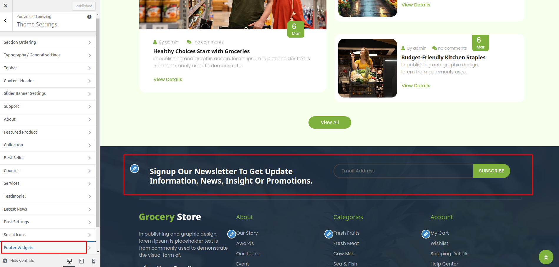 Newsletter Customizer Settings