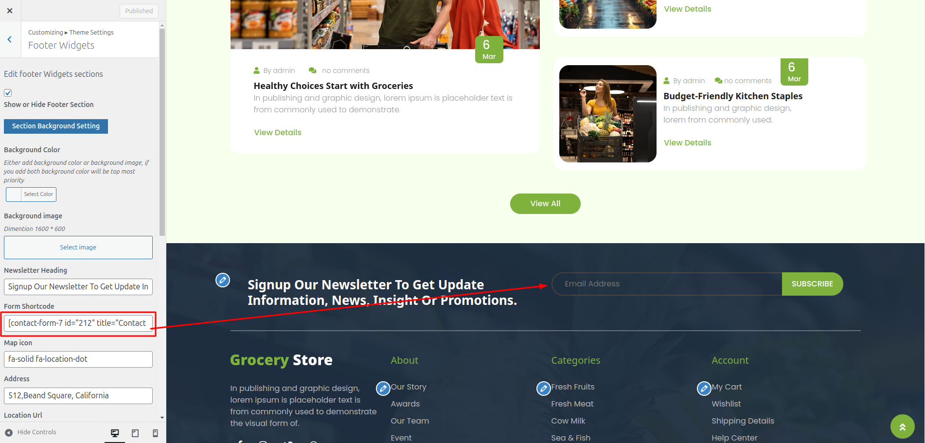 Newsletter Plans Customizer Settings