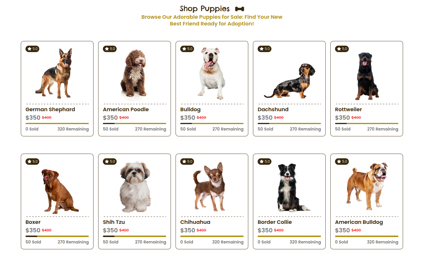 Shop Puppies