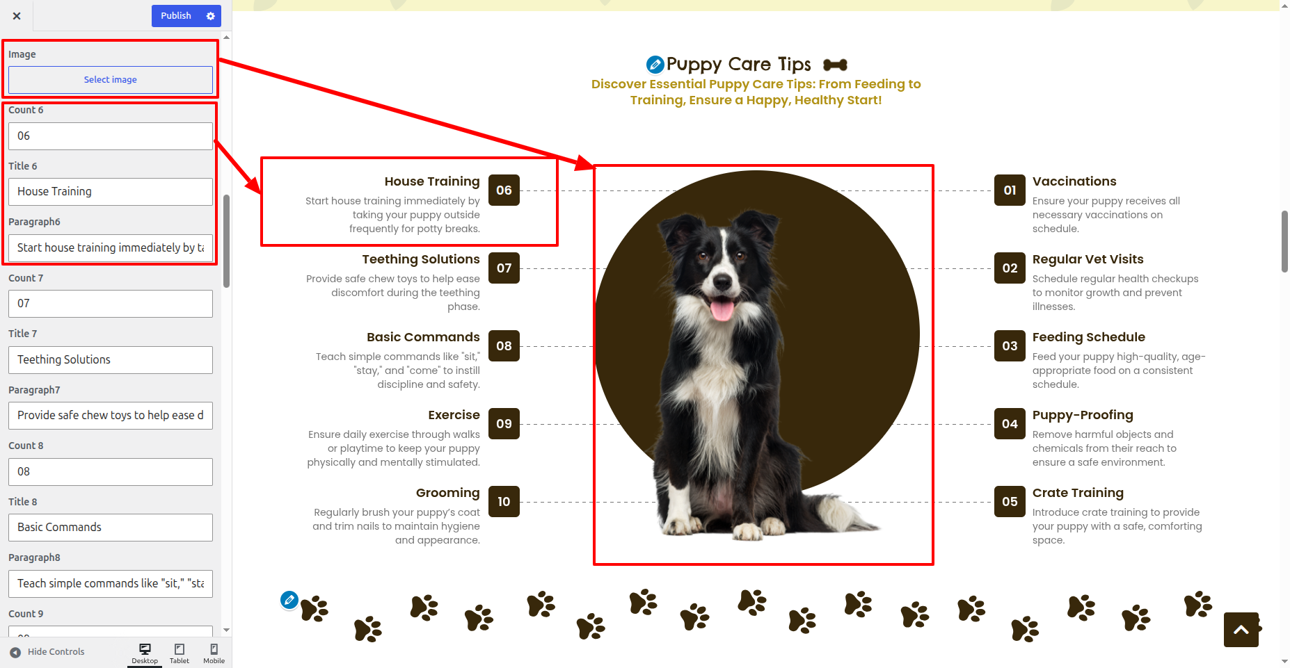 Puppy Care