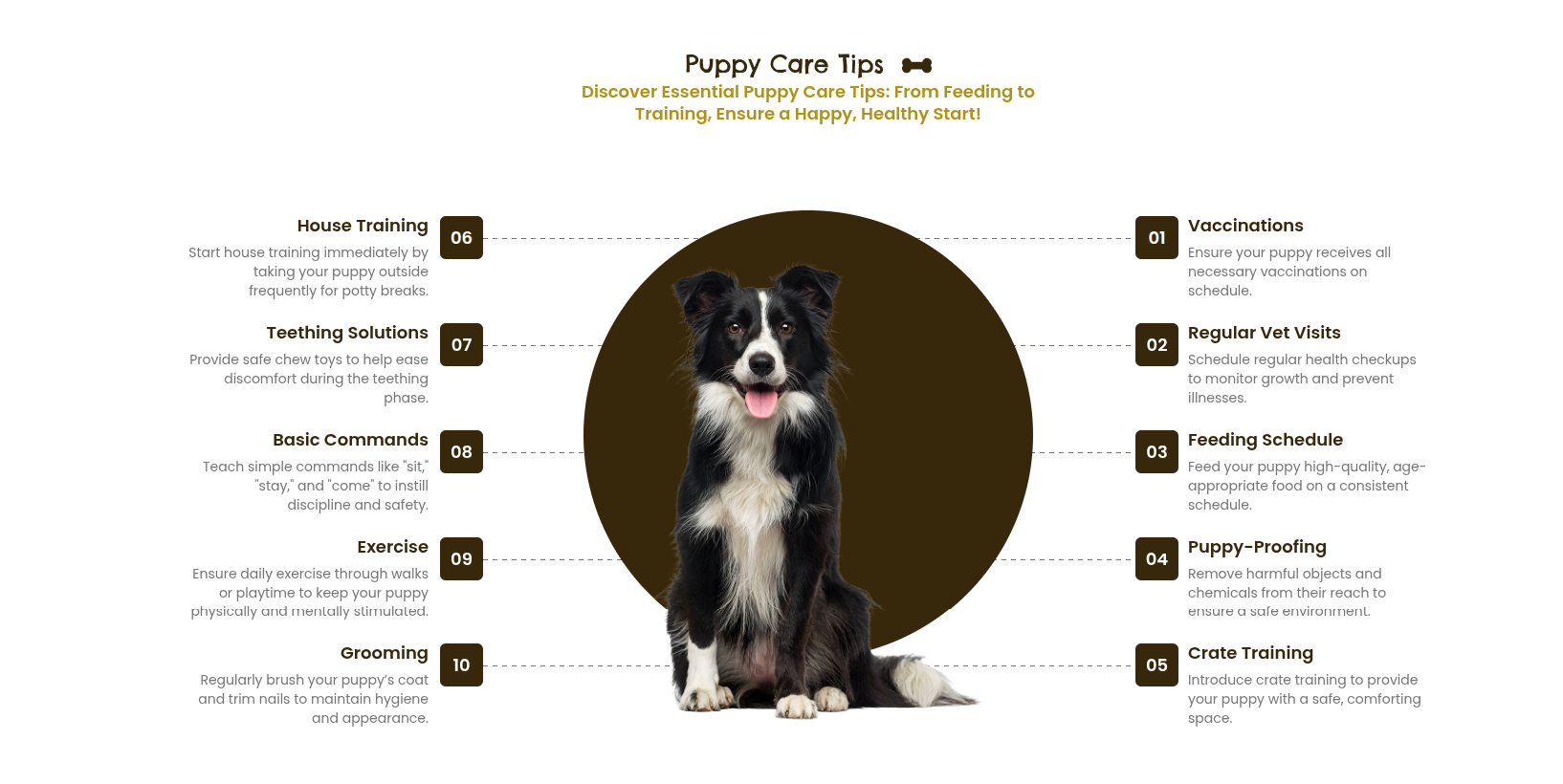 Puppy Care