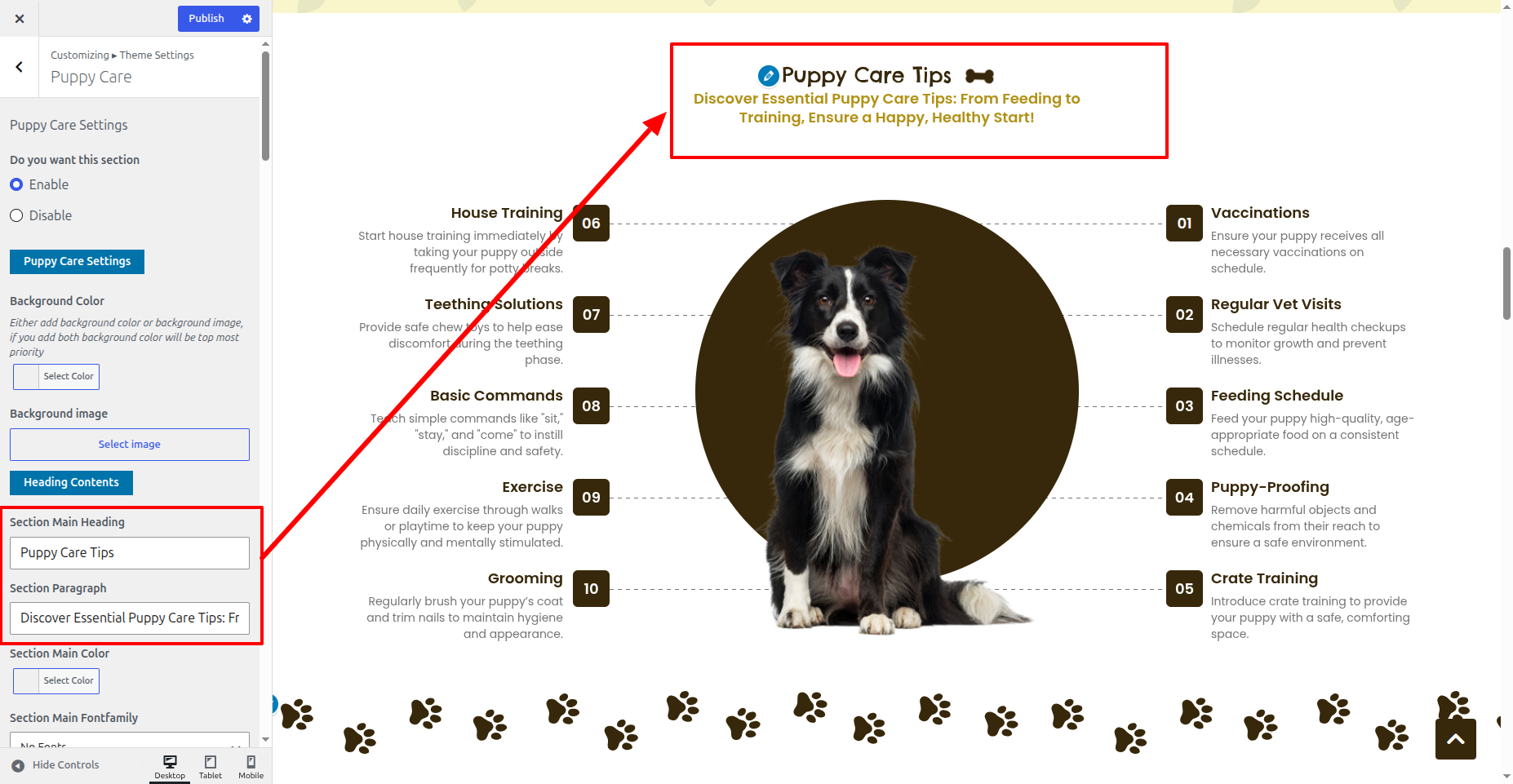 Puppy Care