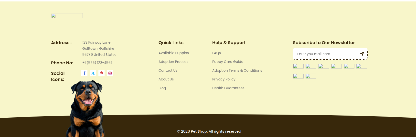 Footer Section