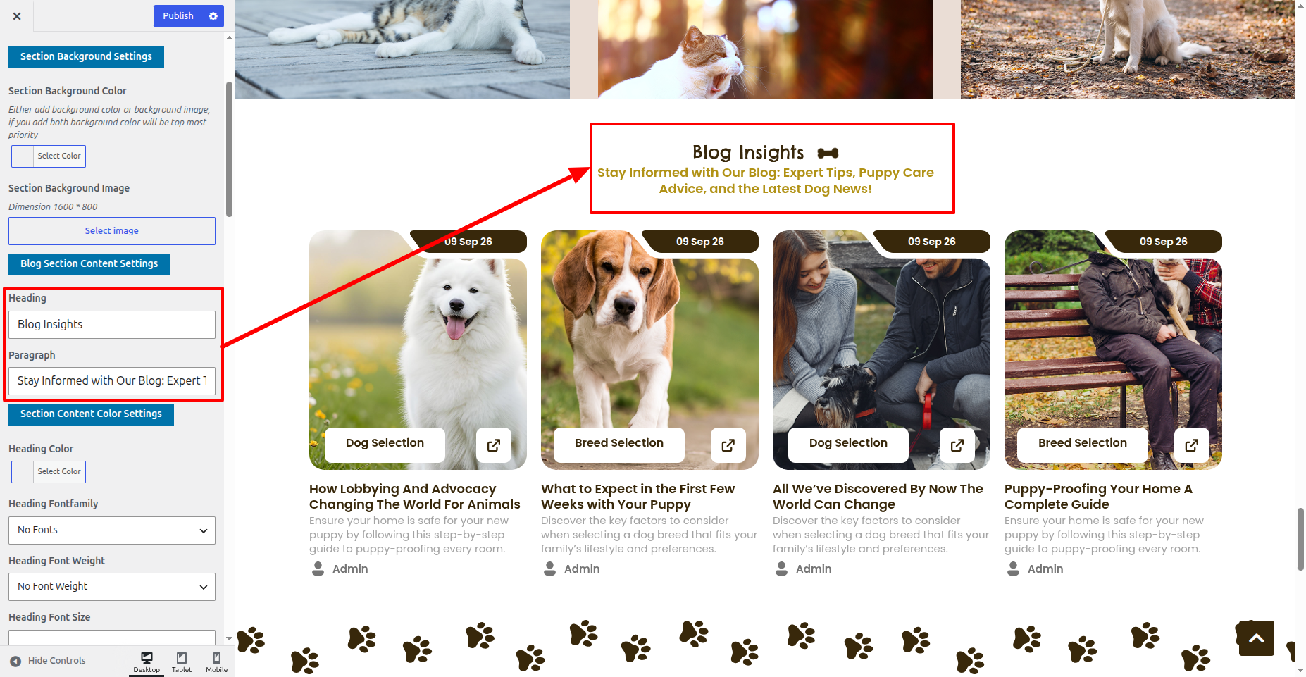 Blog Customizer Settings
