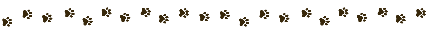 Paw Banner One 