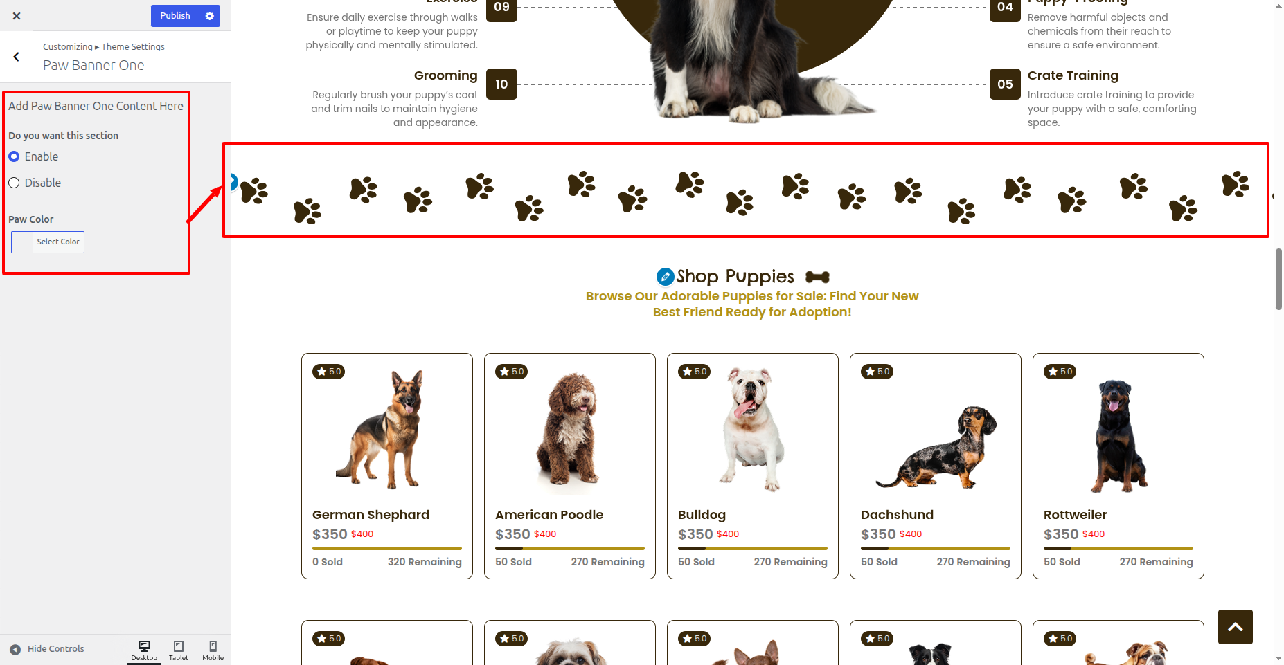 Paw Banner One Customizer Settings
