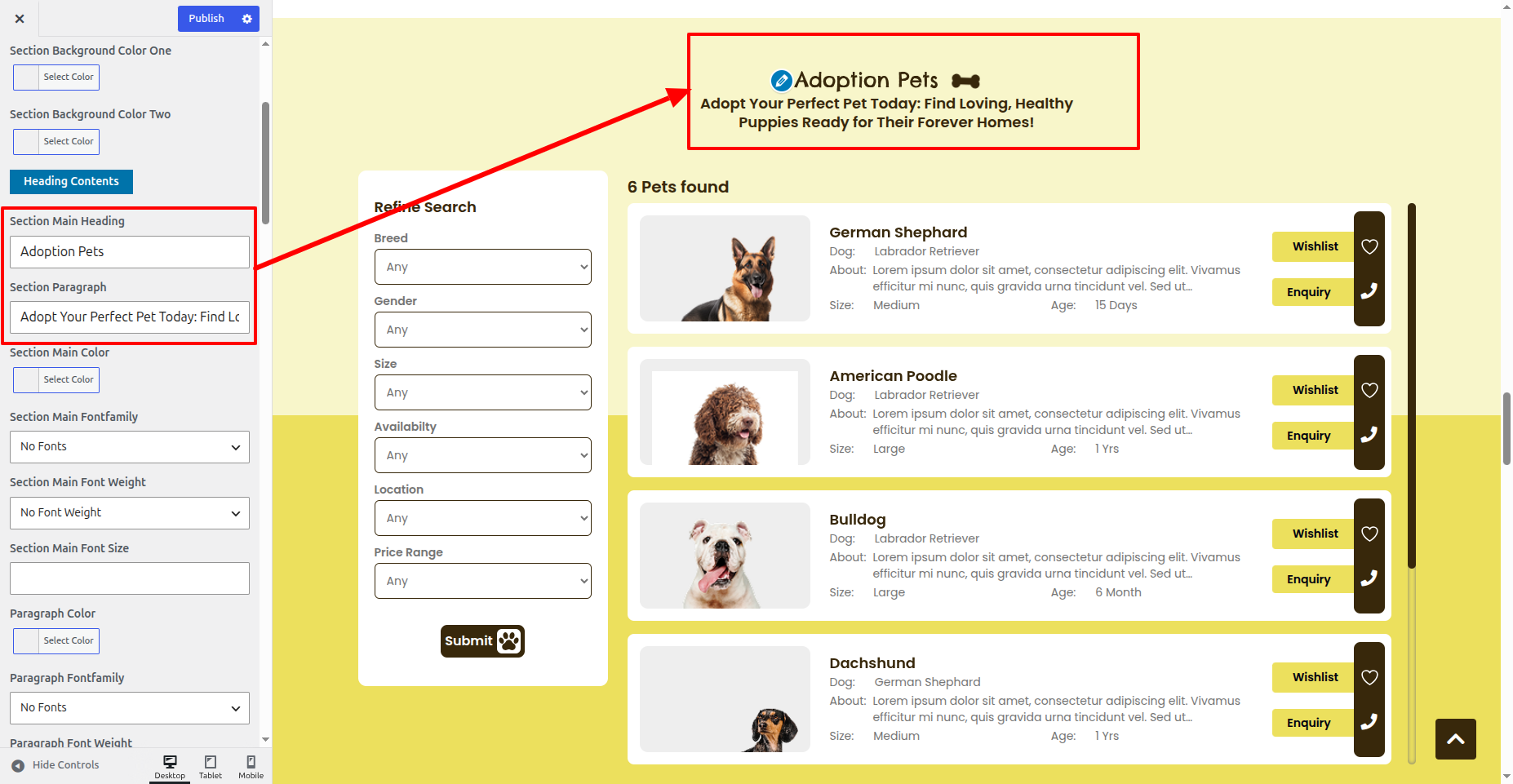 Adoption Pets