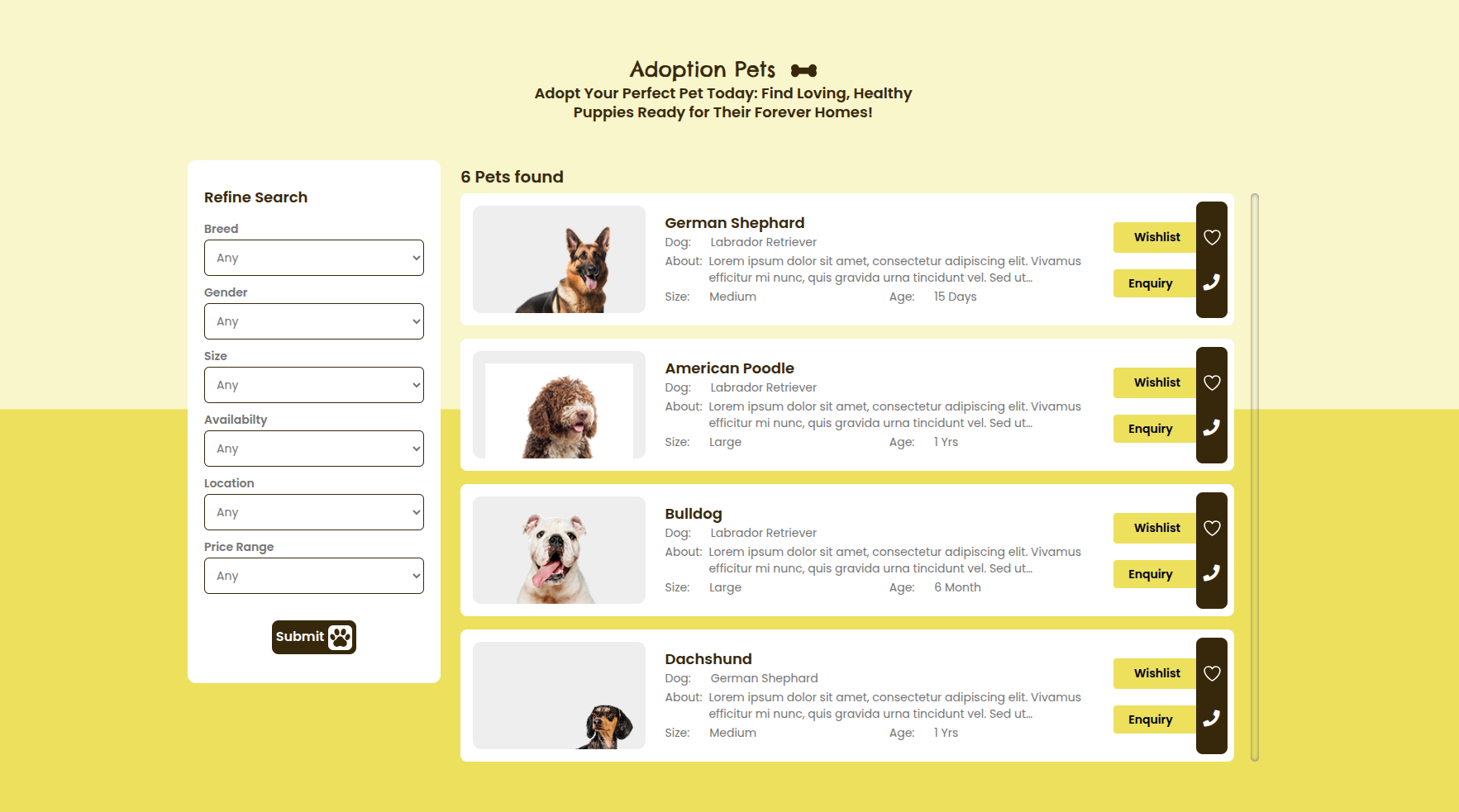 Adoption Pets