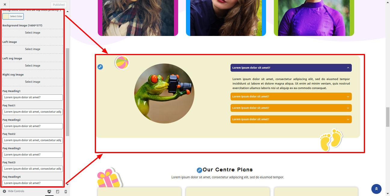 Faq Section Customizer Settings