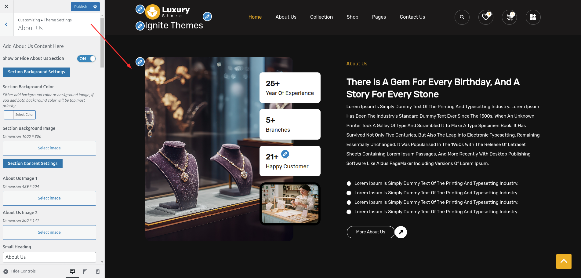 Services Customizer Settings
