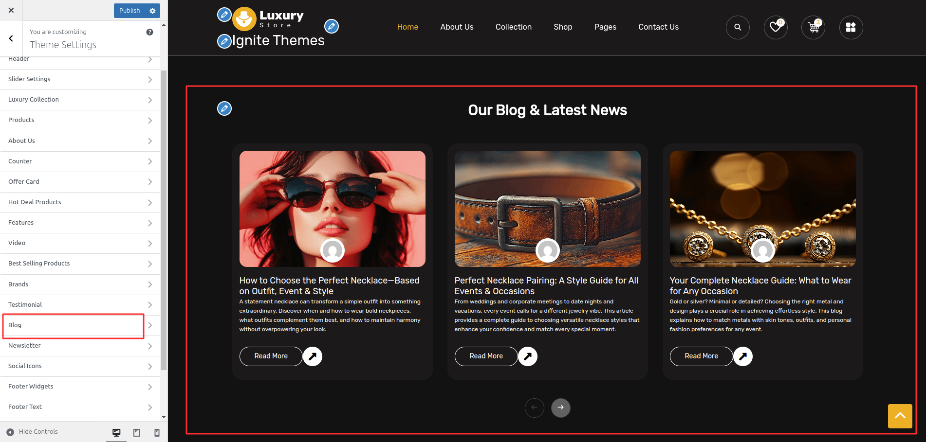Blog Customizer Settings