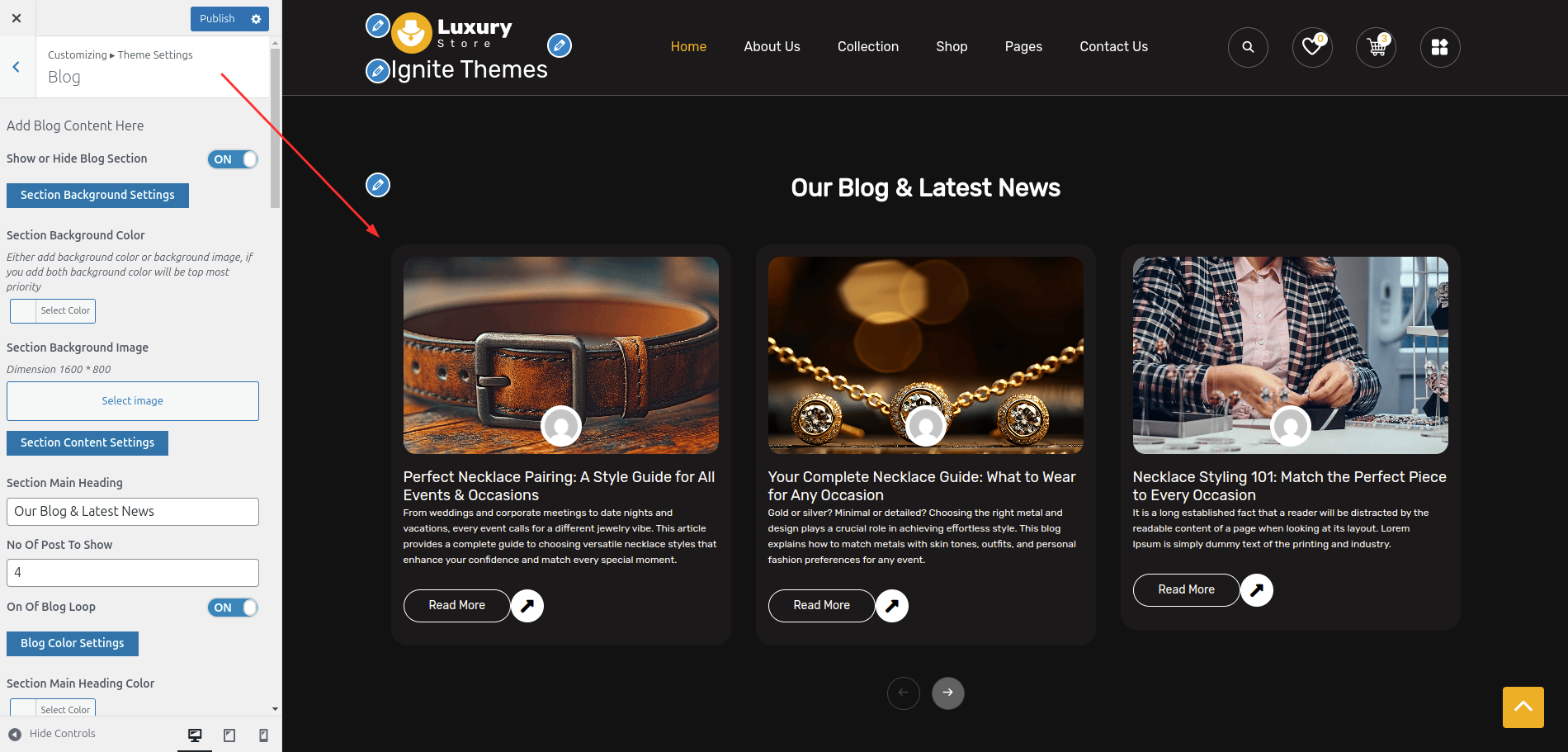 Blog Customizer Settings