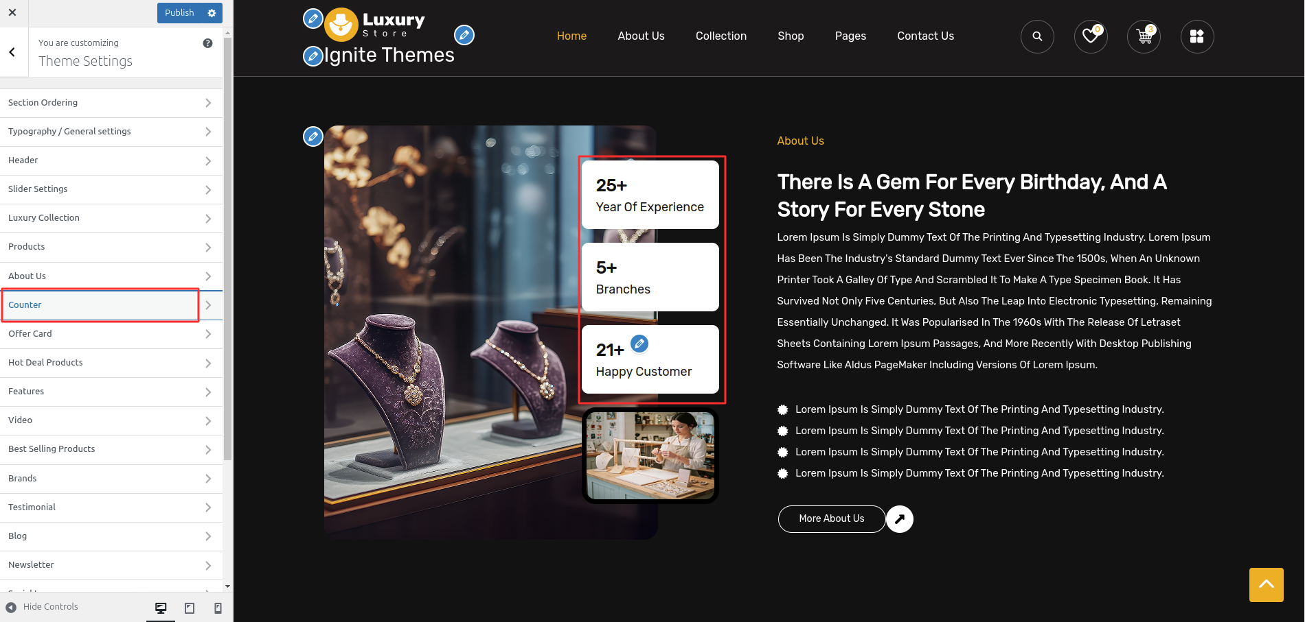 Counter Customizer Settings