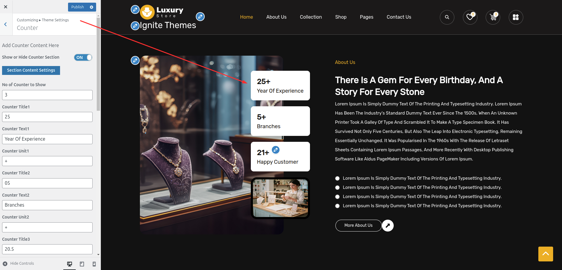 Counter Plans Customizer Settings